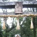 壱岐島の写真_135872