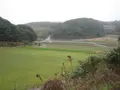 壱岐島の写真_135875