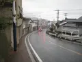 壱岐島の写真_135880