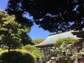 報国寺（竹寺）の写真_135962