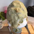 ブンブンブラウカフェウィズビーハイブの写真_135977