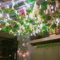 24"7の写真_136156
