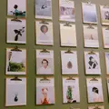 24"7の写真_136160