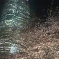 六本木ヒルズの写真_136244