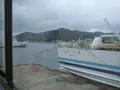 対馬ふるさと伝承館の写真_136344