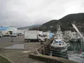 対馬ふるさと伝承館の写真_136348
