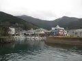 対馬ふるさと伝承館の写真_136350
