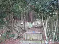 対馬ふるさと伝承館の写真_136387