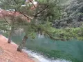 対馬ふるさと伝承館の写真_136390