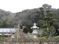 対馬ふるさと伝承館の写真_136409