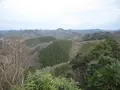 対馬ふるさと伝承館の写真_136414