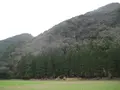 対馬ふるさと伝承館の写真_136419