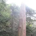 対馬ふるさと伝承館の写真_136445