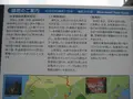 対馬ふるさと伝承館の写真_136454