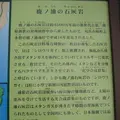 対馬ふるさと伝承館の写真_136457
