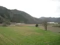 対馬ふるさと伝承館の写真_136459