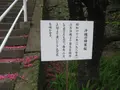 長崎市の写真_136477