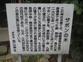 長崎市の写真_136478