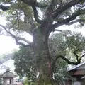 長崎市の写真_136484