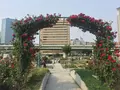 中之島公園の写真_136602