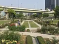 中之島公園の写真_136603