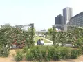 中之島公園の写真_136605