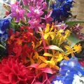 【閉業】原美術館の写真_136617