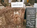 シロクマベーカリー 本店の写真_136645