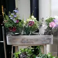 ピースフラワーマーケット＆カフェ （Peace Flower Market & Cafe）の写真_136785