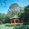 台北植物園の写真_137026