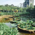 台北植物園の写真_137027
