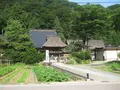 白川郷合掌造りの写真_137066