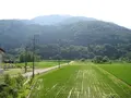 白川郷合掌造りの写真_137077