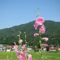 白川郷合掌造りの写真_137079