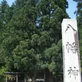 白川郷合掌造りの写真_137084