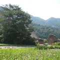 白川郷合掌造りの写真_137098