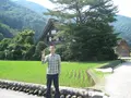 白川郷合掌造りの写真_137100