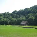 白川郷合掌造りの写真_137101