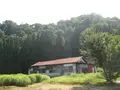 白川郷合掌造りの写真_137103