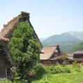 白川郷合掌造りの写真_137126