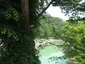 白川郷合掌造りの写真_137156