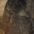 飛騨大鍾乳洞の写真_137169