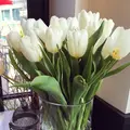 플로르떼 Florte flower cafeの写真_137310
