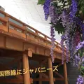 羽田空港（東京国際空港）の写真_137386