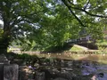 水源けやきの写真_137690