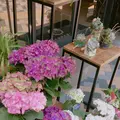 エッセンス カフェ （essence cafe）の写真_137702