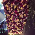エッセンス カフェ （essence cafe）の写真_137706