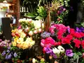 青山フラワーマーケット ティーハウス 南青山本店 （Aoyama Flower Market TEA HOUSE）の写真_137723