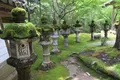 西明寺の写真_137739