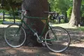 上野恩賜公園（上野公園）の写真_137785